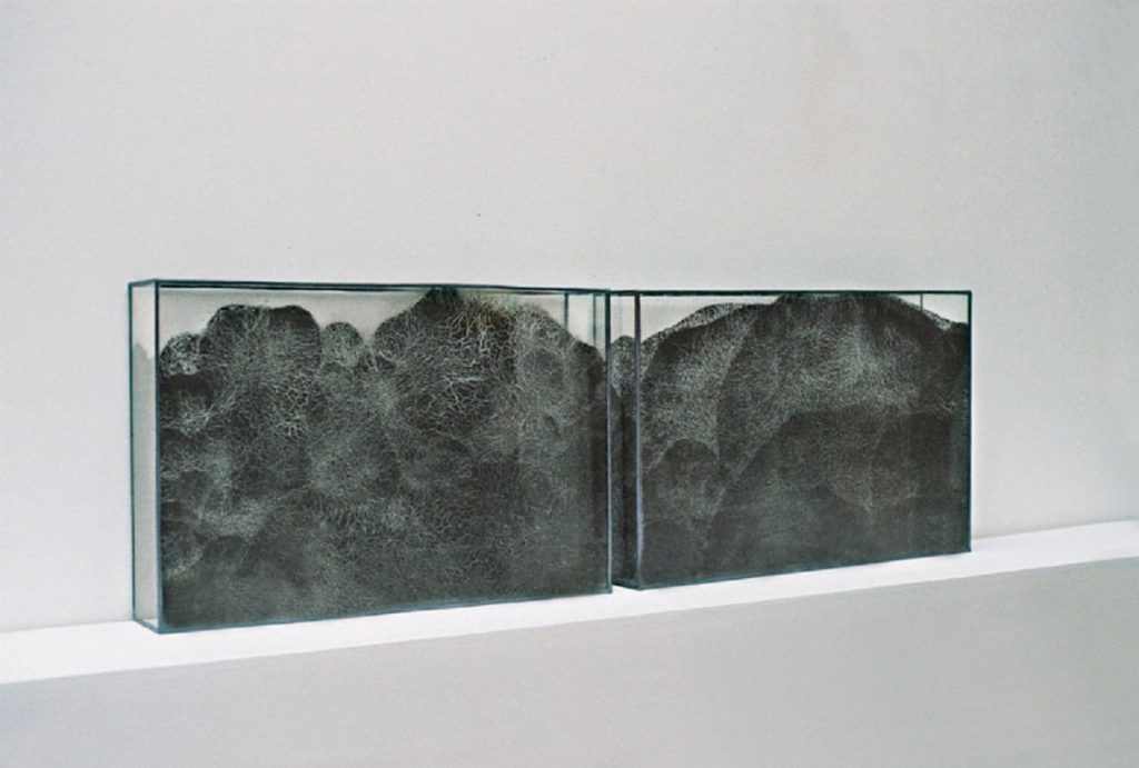 Valérie Novello - Paysage de cendre