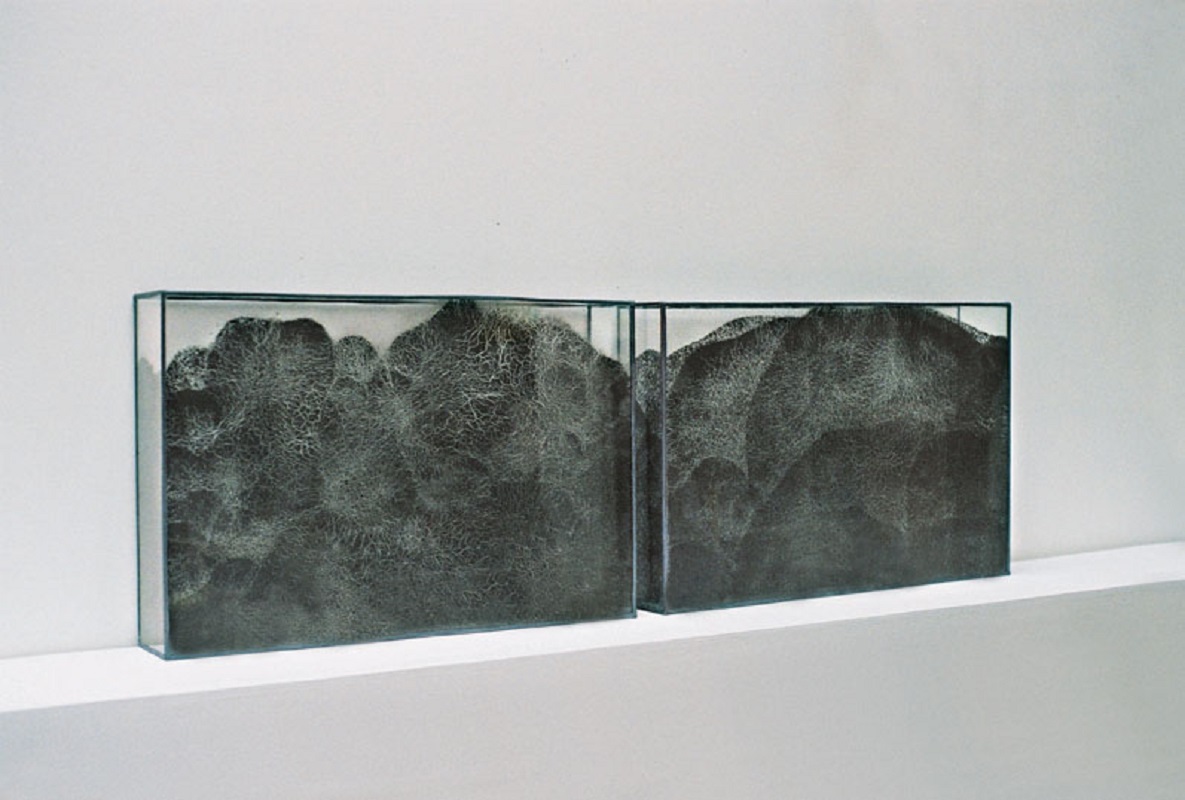 Paysage de cendre / 2