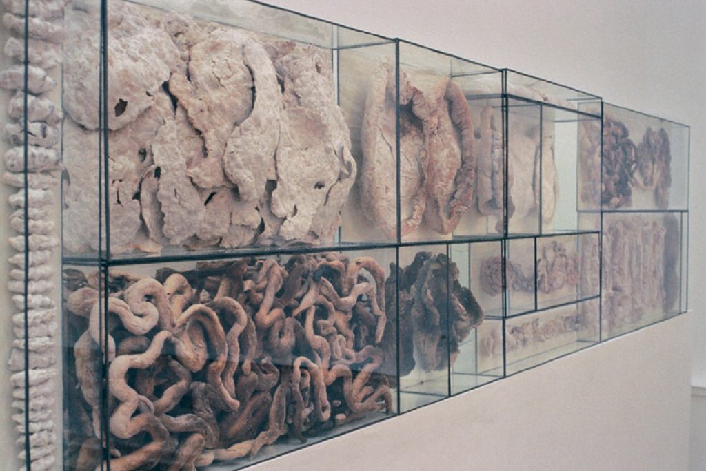 Valérie Novello - Viscères