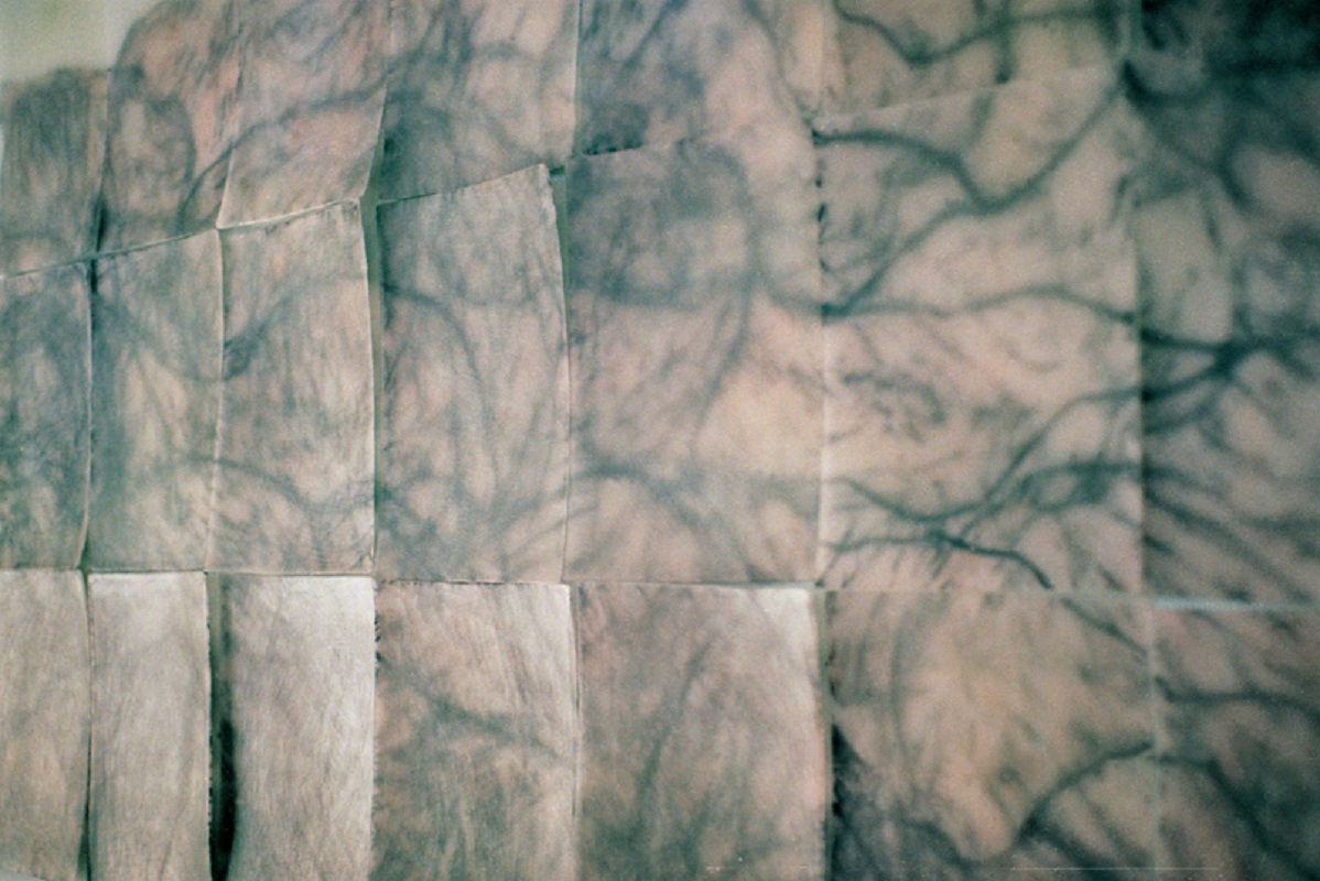 Valérie Novello - Carte