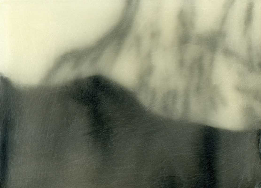 Valérie Novello - Paysages de cire