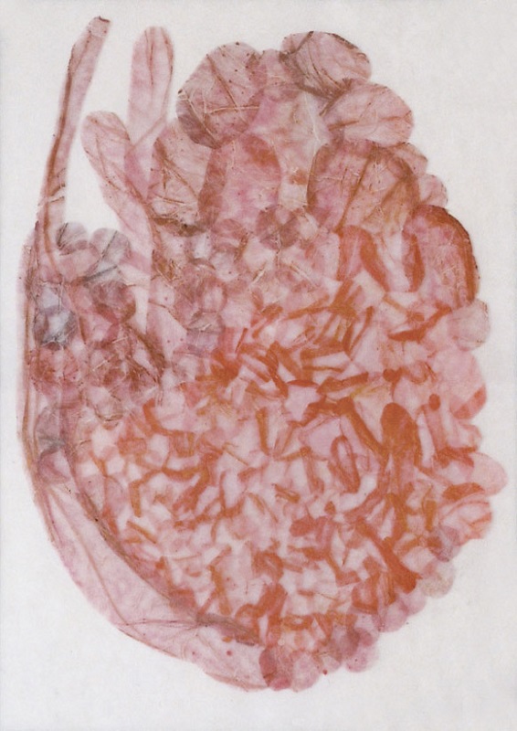 Valérie Novello - Feuillets