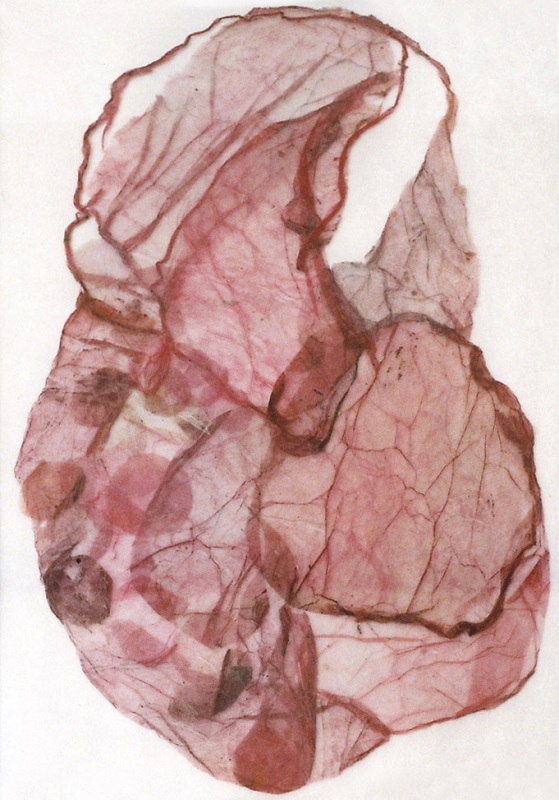 Valérie Novello - Feuillets