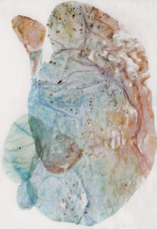 Valérie Novello - Feuillets