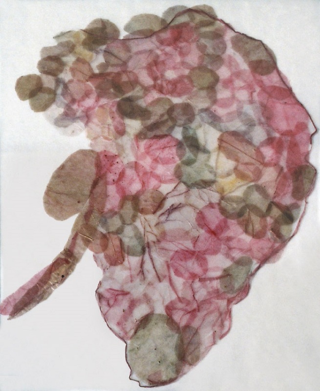 Valérie Novello - Feuillets