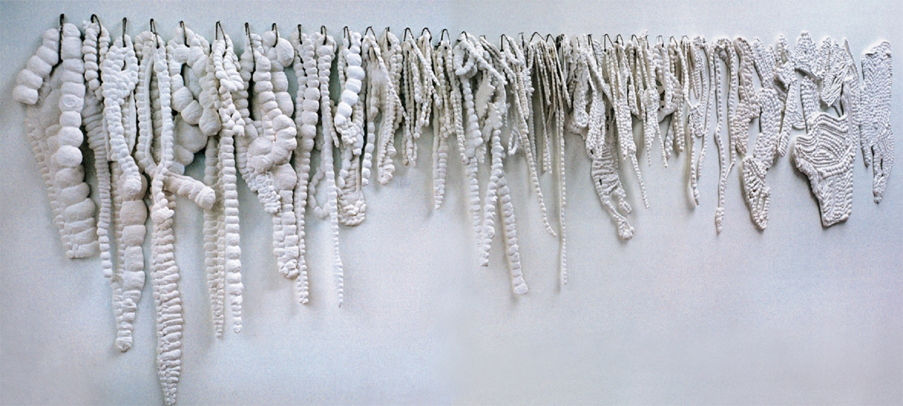 Valérie Novello - Cordons