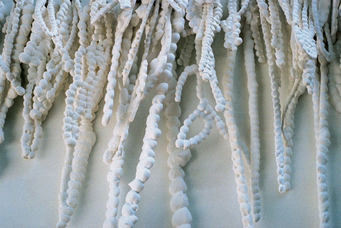 Valérie Novello - Cordons