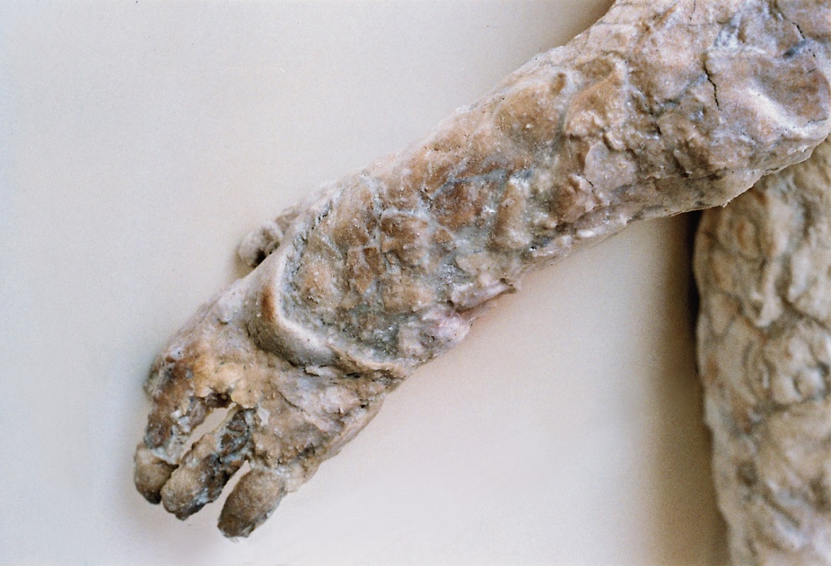 Valérie Novello - Homme et femme