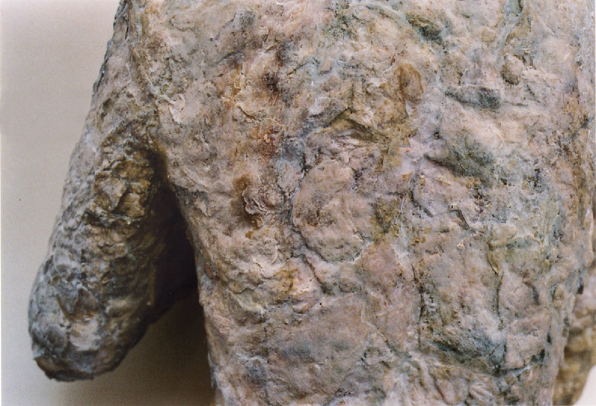 Valérie Novello - Homme et femme