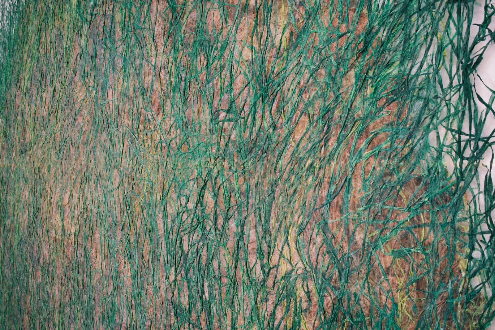 Valérie Novello - Herbes