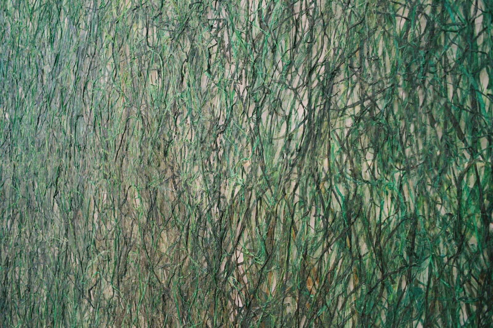 Valérie Novello - Herbes