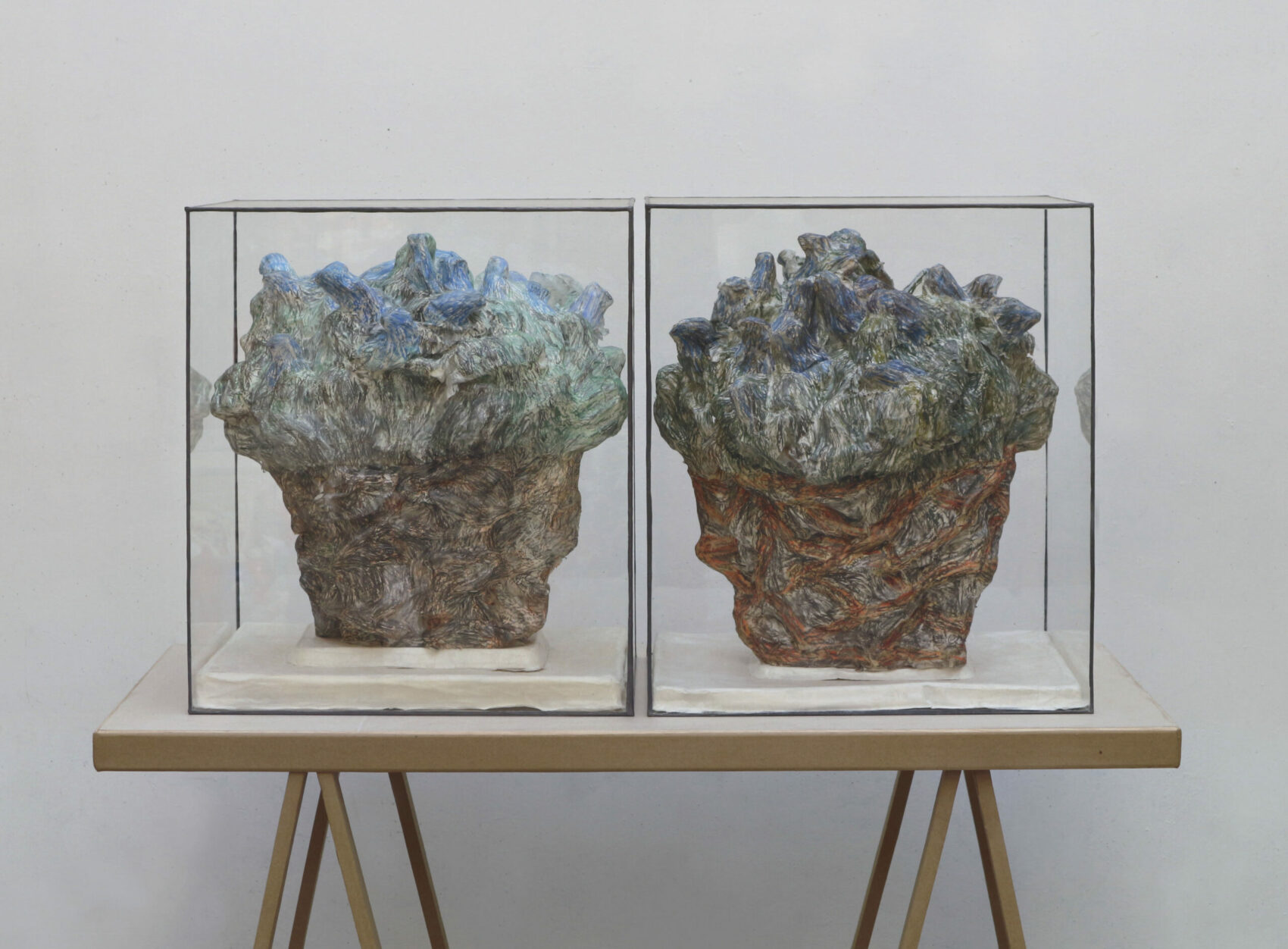 Oiseaux de jour : Oiseaux de nuit