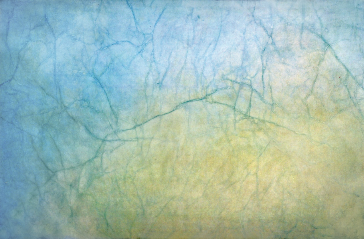 Valérie Novello - Paysage (détail)