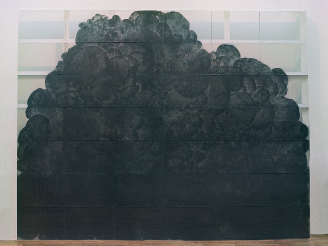 Valérie Novello - Paysage de cendre