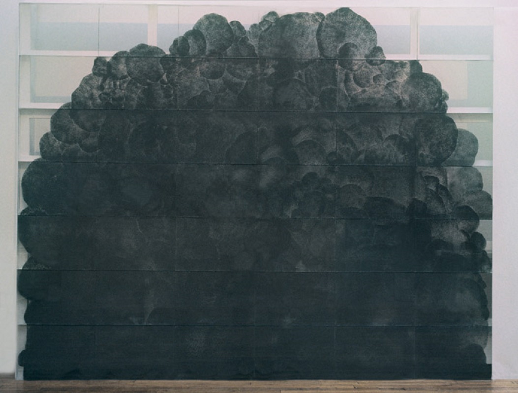 Valérie Novello - Paysage de cendre