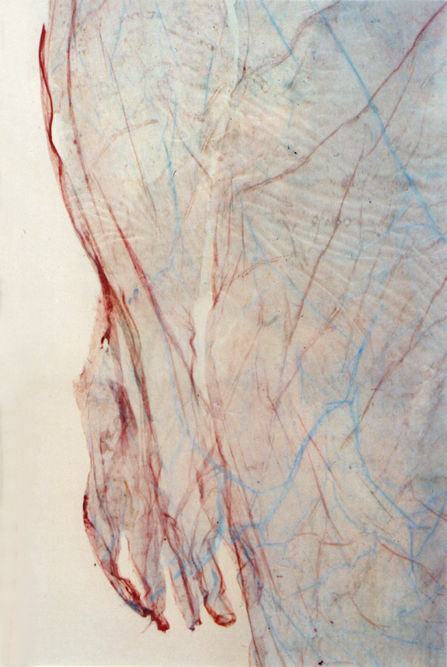 Valérie Novello - Peaux sous verre