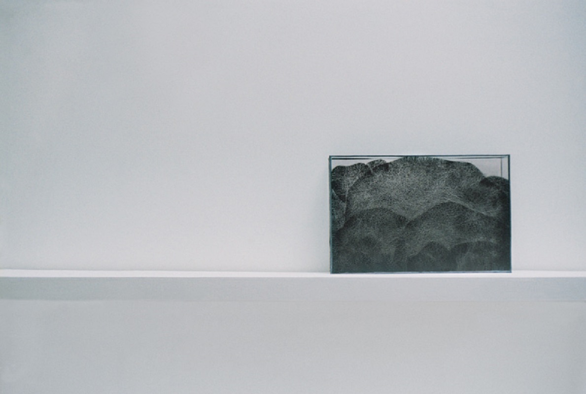 Valérie Novello - Paysage de cendre