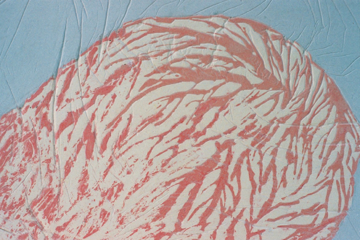 Valérie Novello - Hommes / Pierres