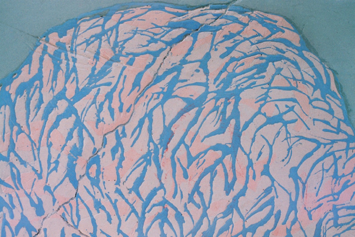 Valérie Novello - Hommes / Pierres