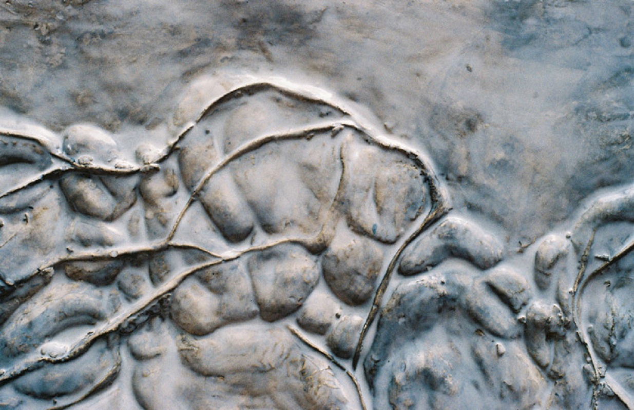 Valérie Novello - Bas-reliefs