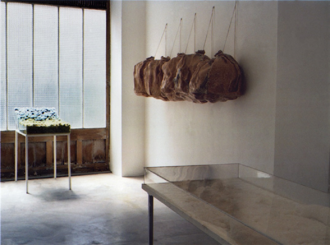 Valérie Novello - Sacs