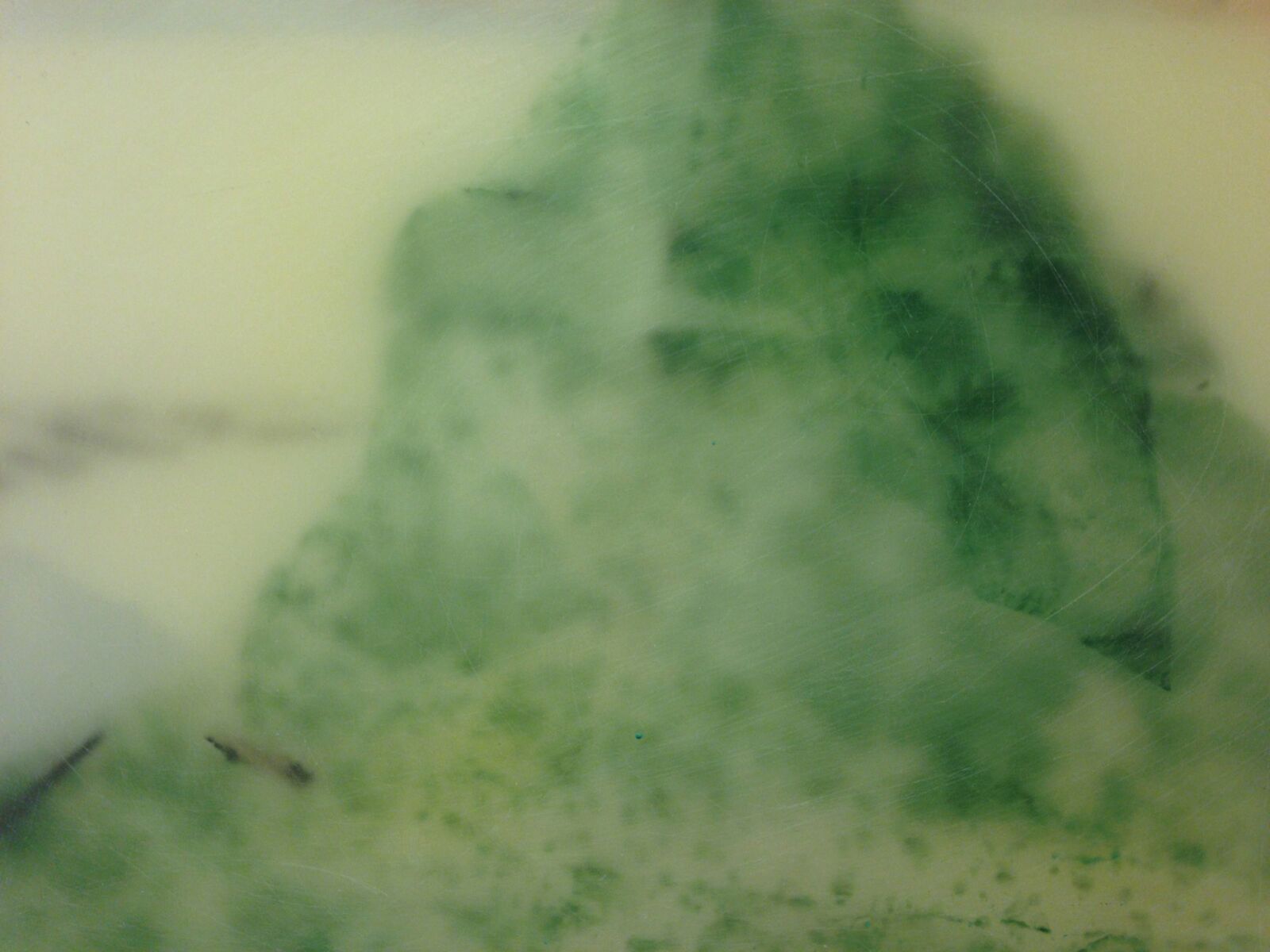 Valérie Novello - Paysages de cire