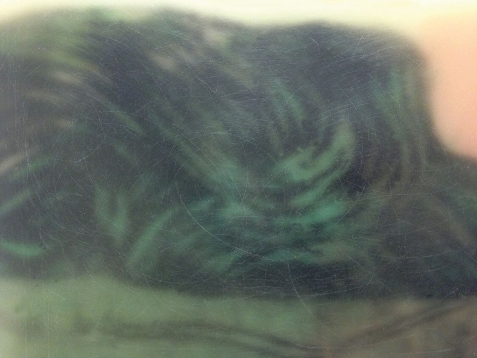 Valérie Novello - Paysages de cire