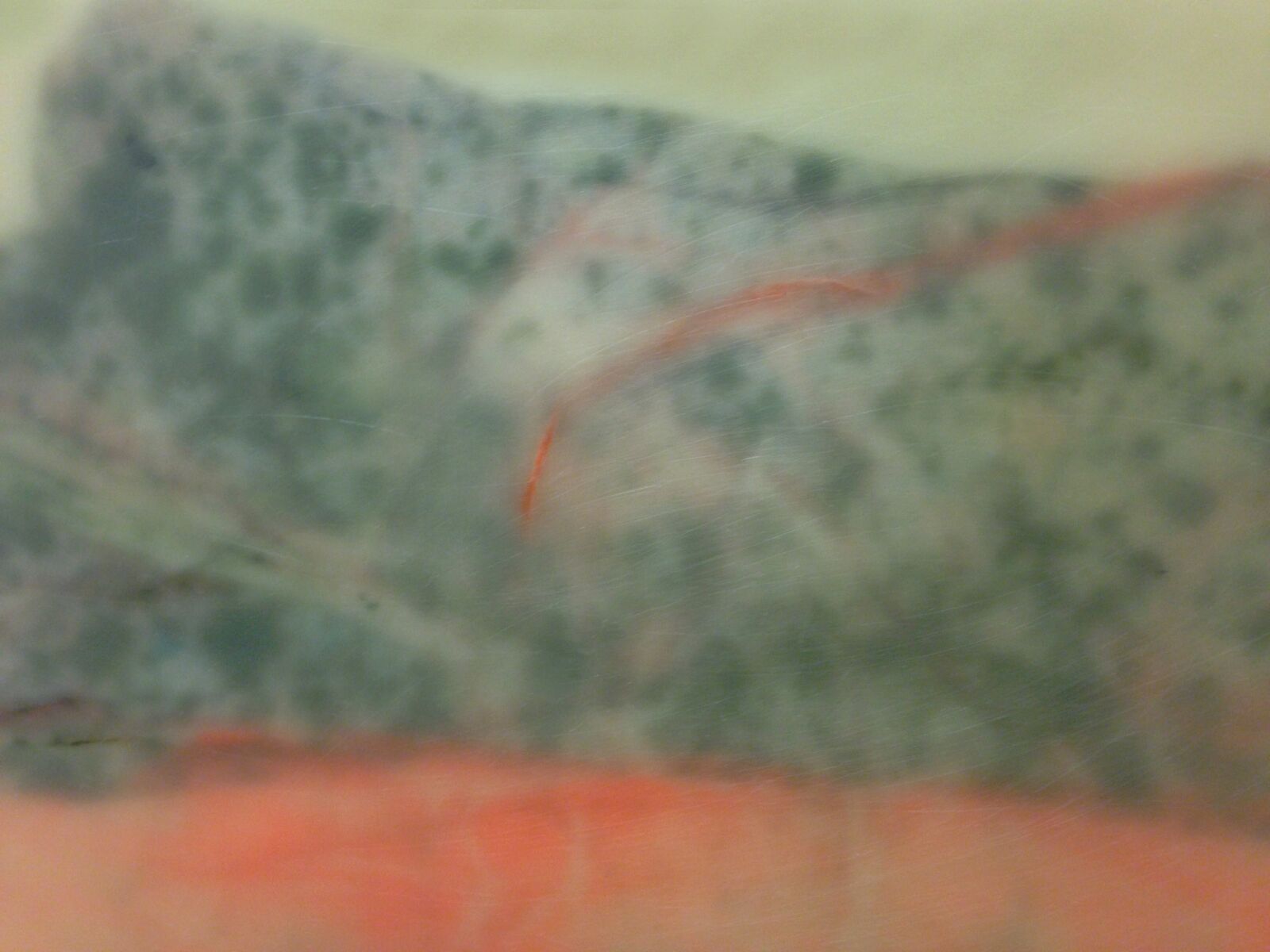 Valérie Novello - Paysages de cire