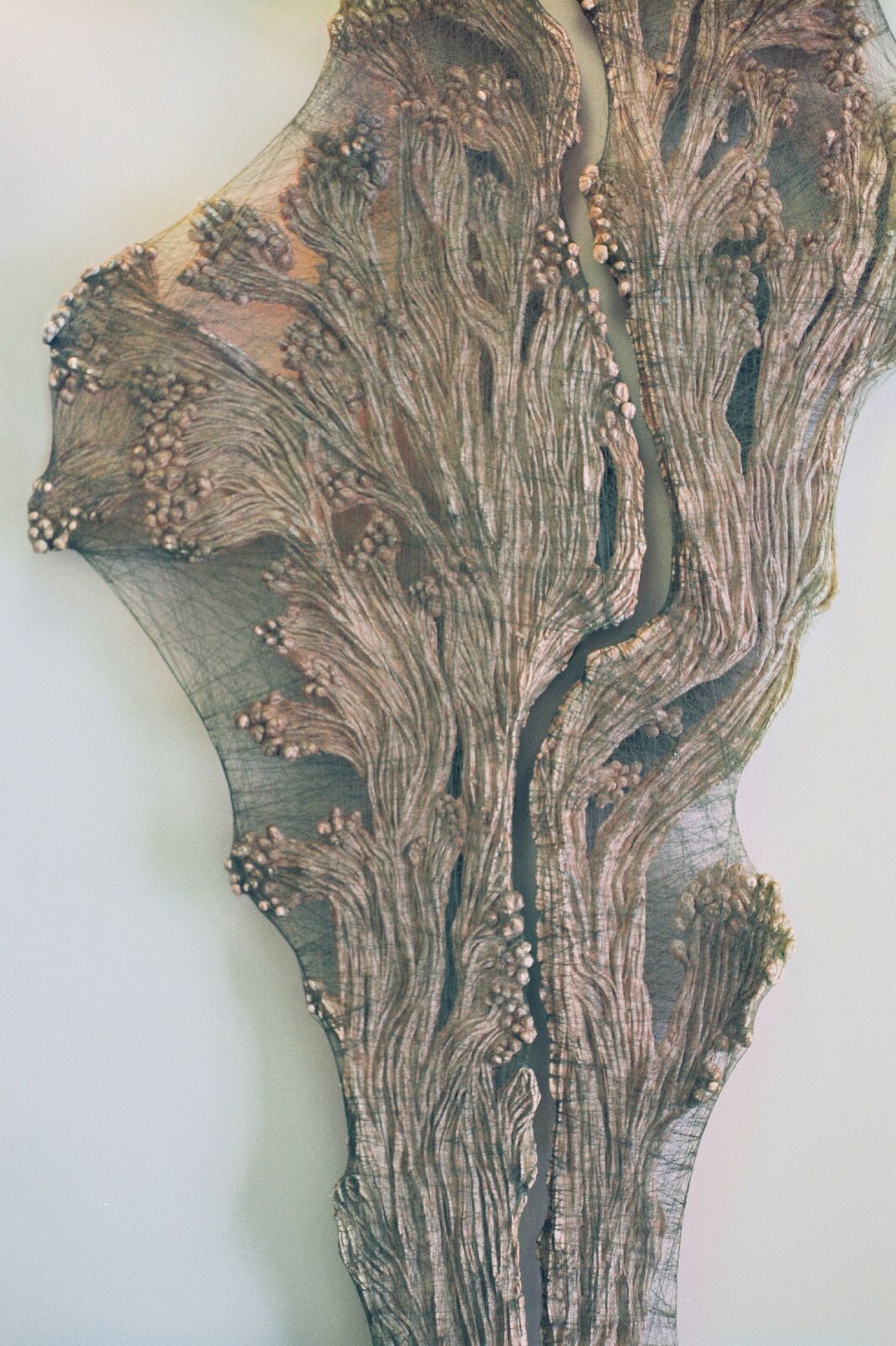 Valérie Novello - Immortelle