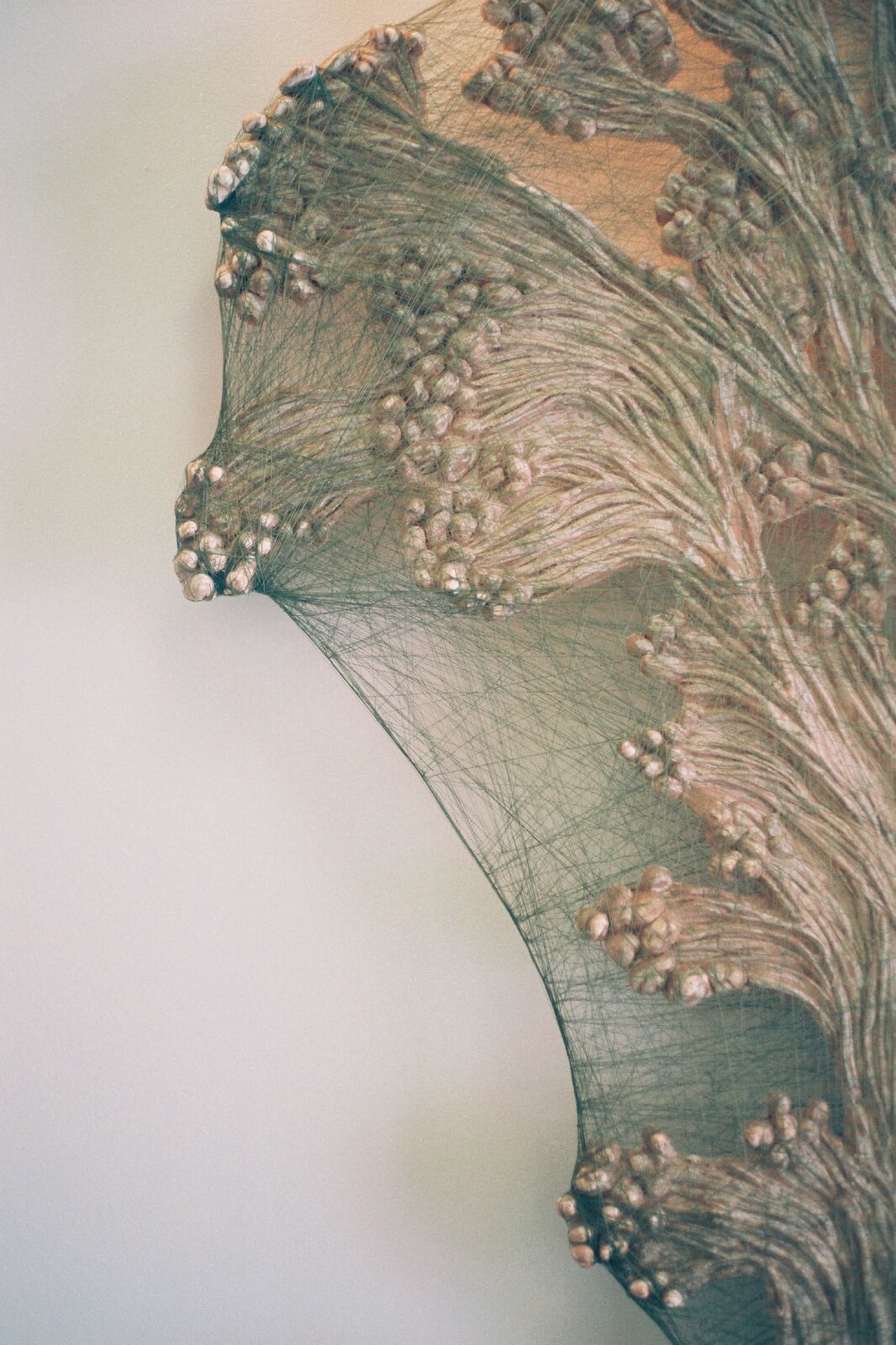 Valérie Novello - Immortelle