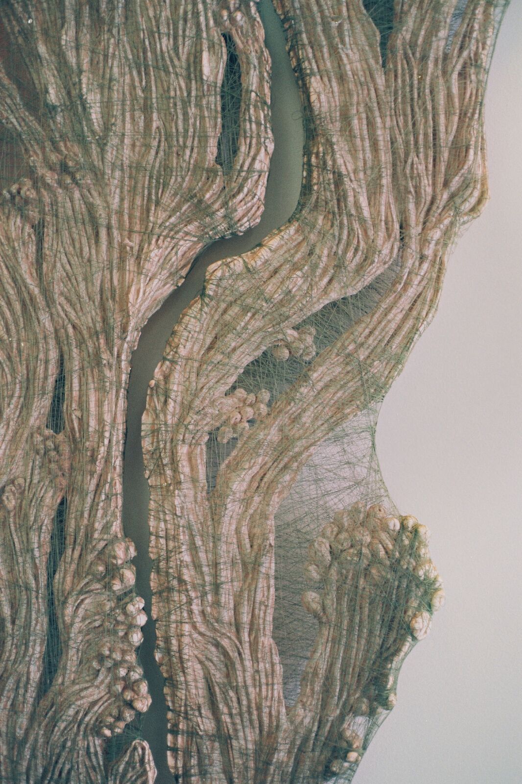 Valérie Novello - Immortelle