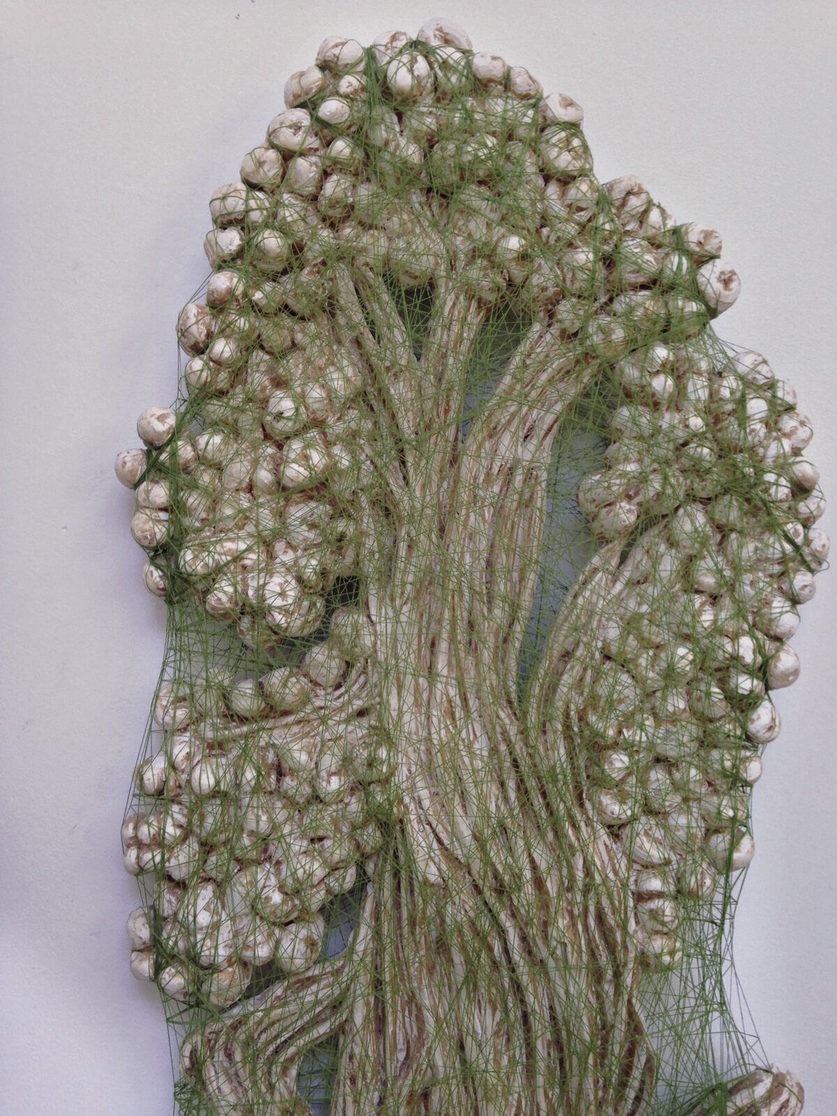 Valérie Novello - Herbier