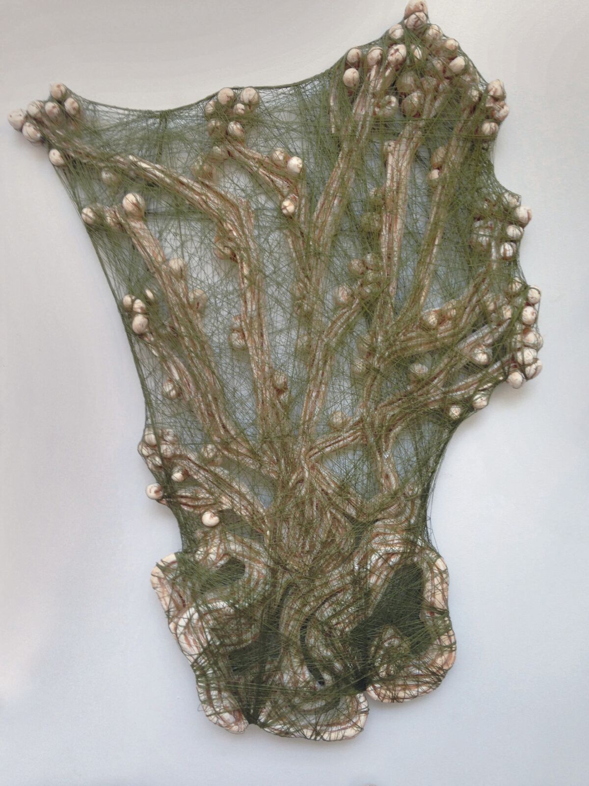 Valérie Novello - Herbier