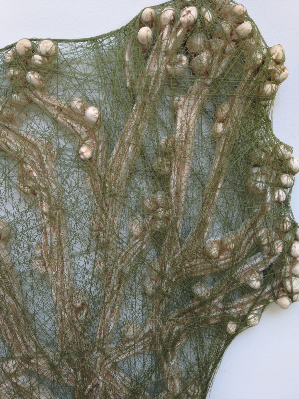 Valérie Novello - Herbier