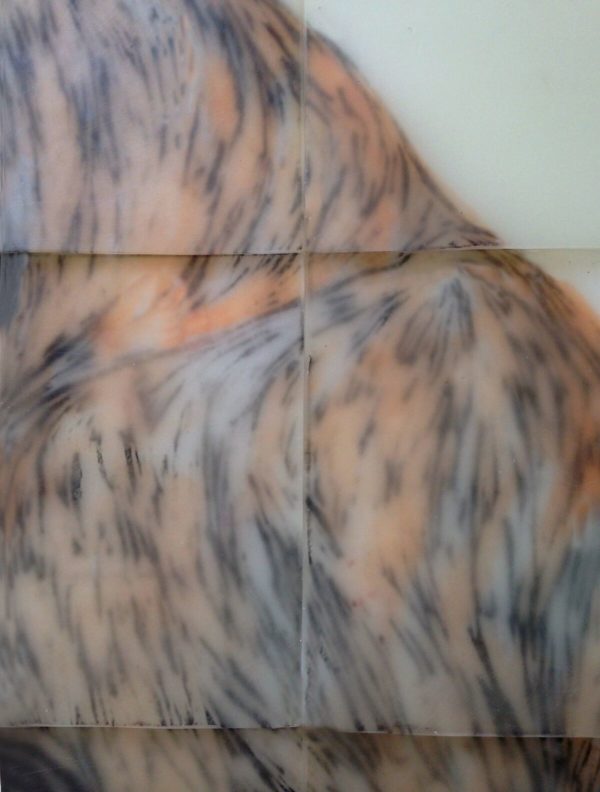 Valérie Novello - Tas