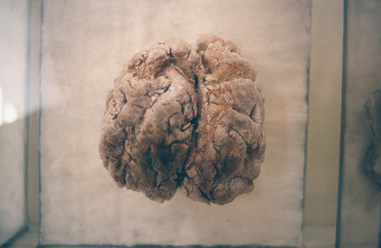 Valérie Novello - Viscères